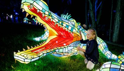 Vivid Sydney 2017, Taronga Zoo preview. 21/5/2017
Photo James Horan/Destination NSW