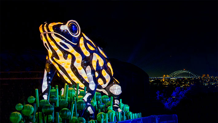 VIVID 2022: Wild lights at Taronga zoo